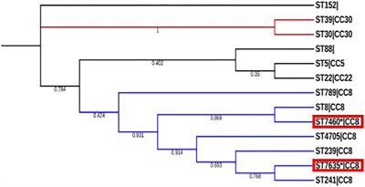 Genomic characterization of two community-acquired methicillin-resistant Staphylococcus aureus with novel sequence types in Kenya